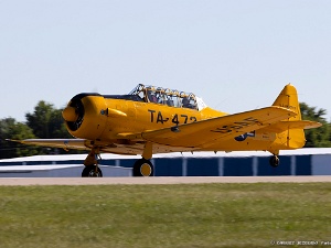 Warbirds - Trainers