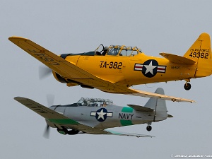 Warbirds - Trainers